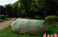 汉口江滩“万里茶道”文化园正式开放，雕塑讲述武汉历史